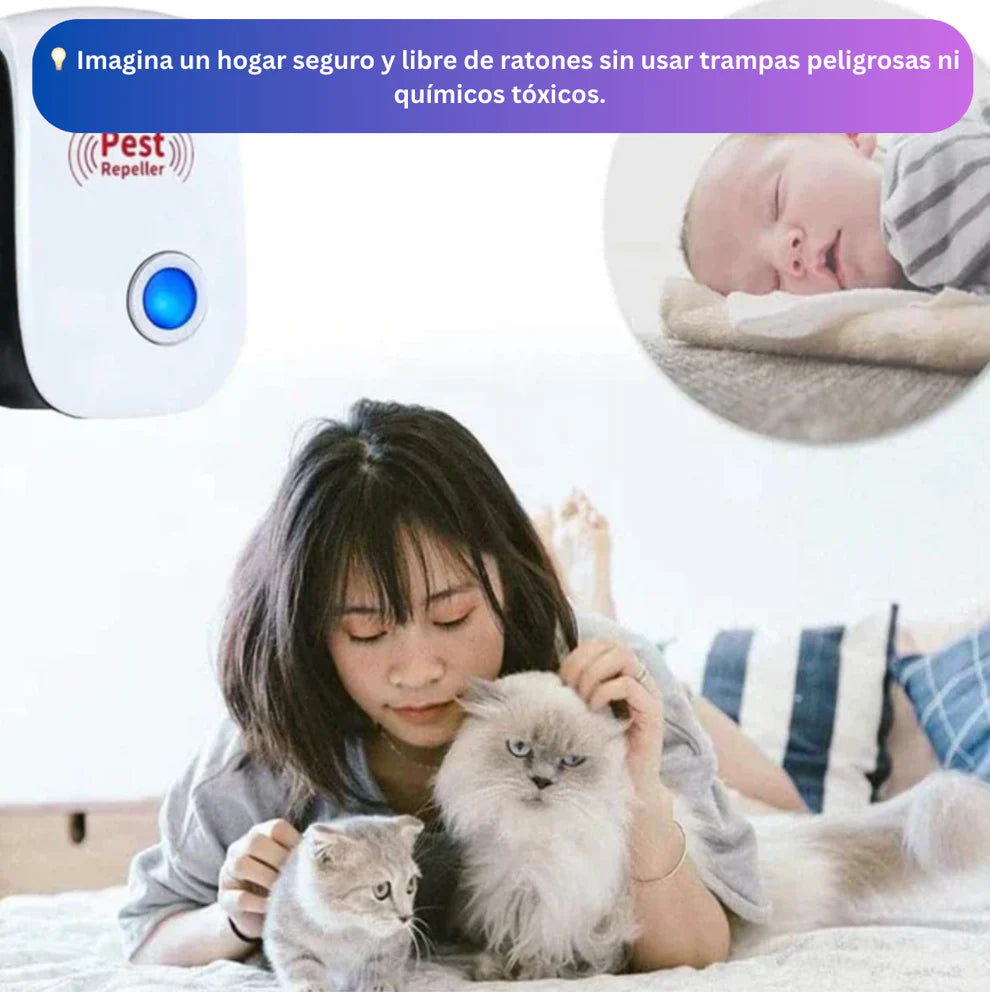 NO MAS RATONES Y INSECTOS ¡PROTEGE TU HOGAR!