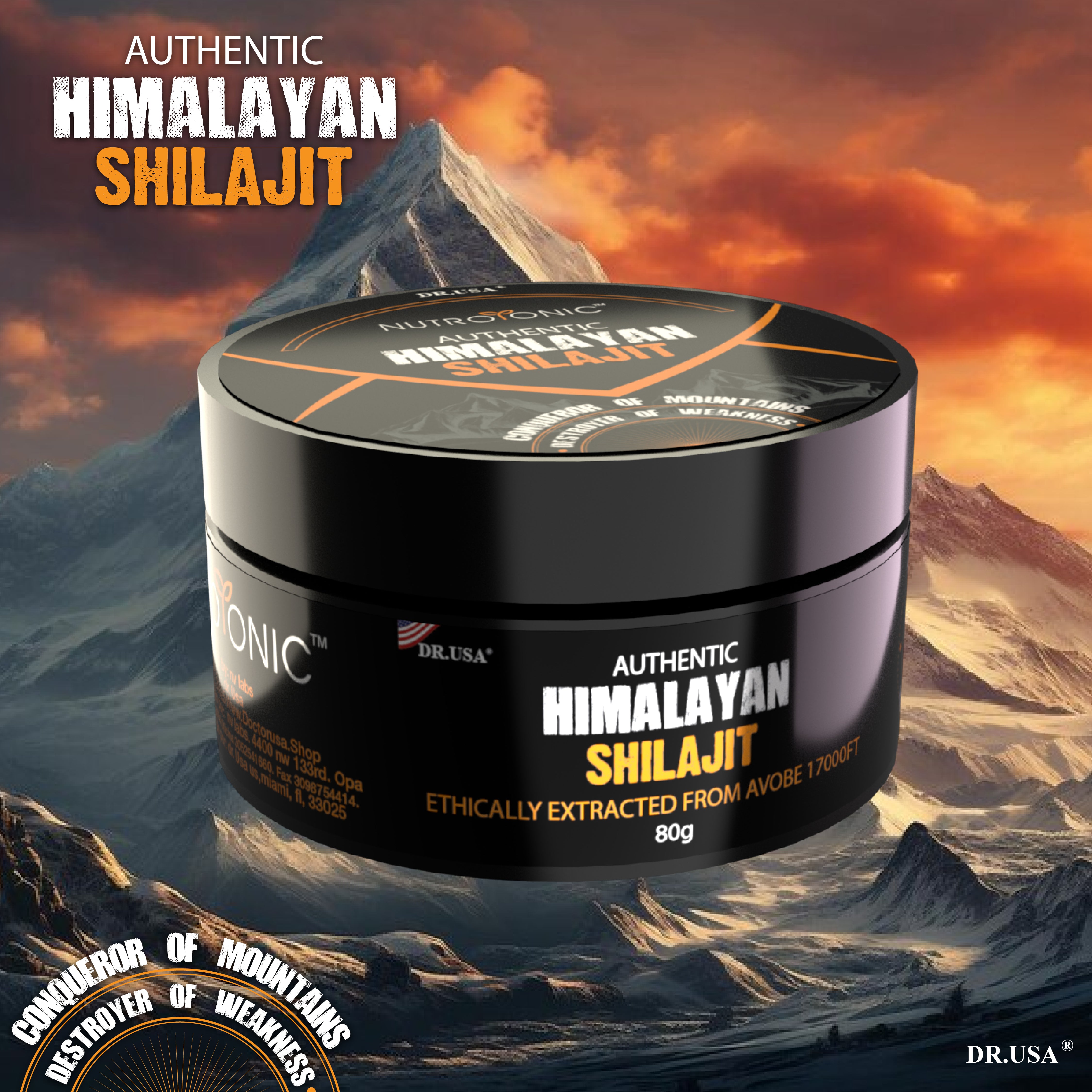 SHILAJIT PURO ORIGINAL DEL HIMALAYA